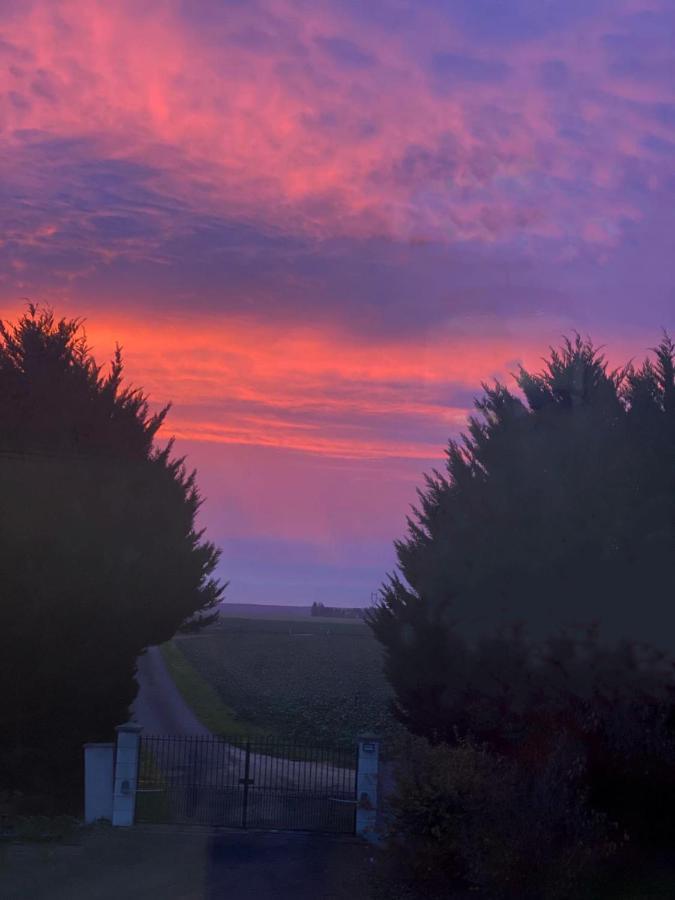 Bois De Crane Villa Landes-le-Gaulois Dış mekan fotoğraf