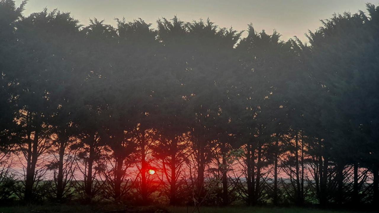 Bois De Crane Villa Landes-le-Gaulois Dış mekan fotoğraf