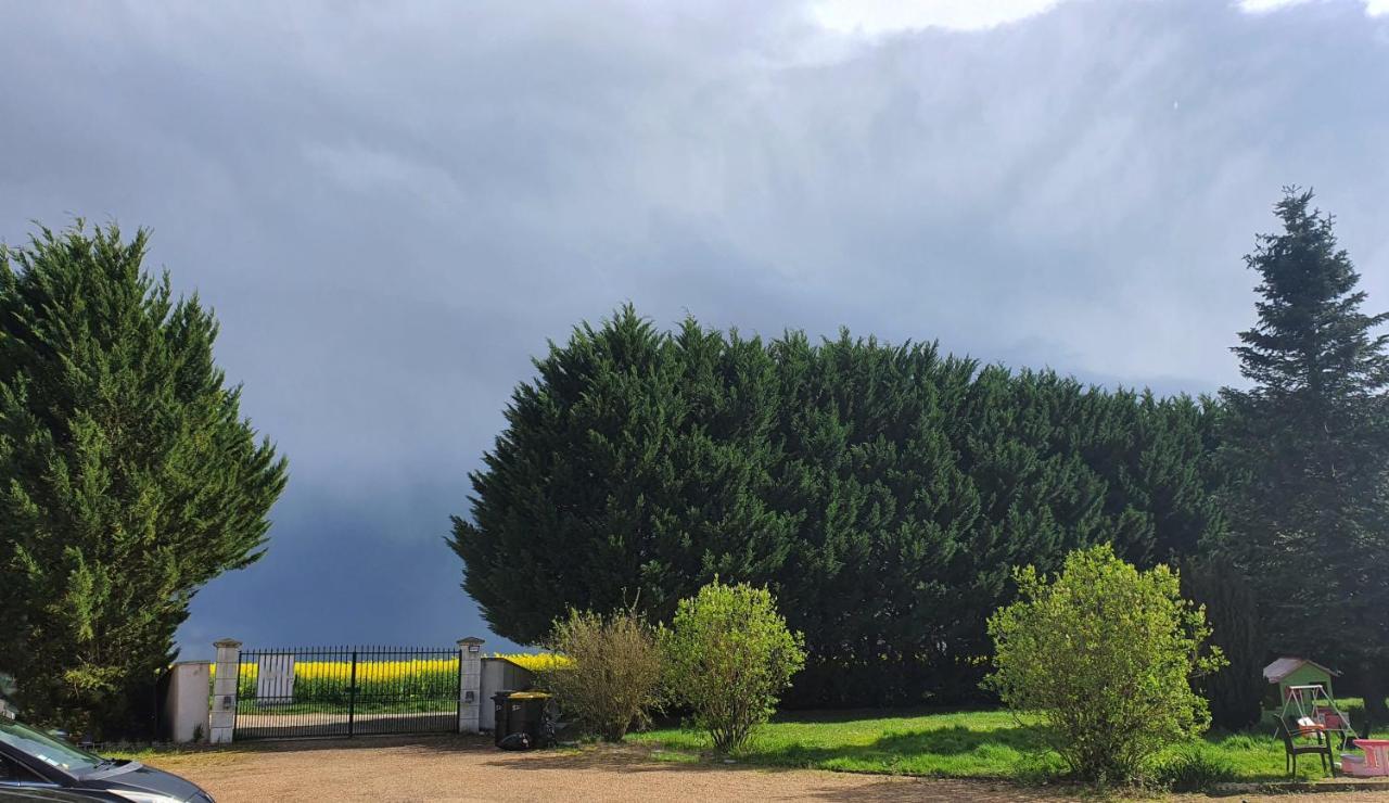 Bois De Crane Villa Landes-le-Gaulois Dış mekan fotoğraf